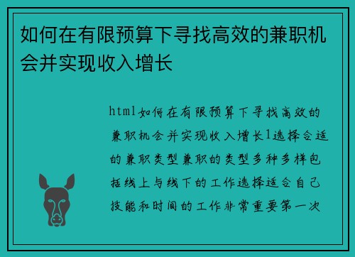 如何在有限预算下寻找高效的兼职机会并实现收入增长